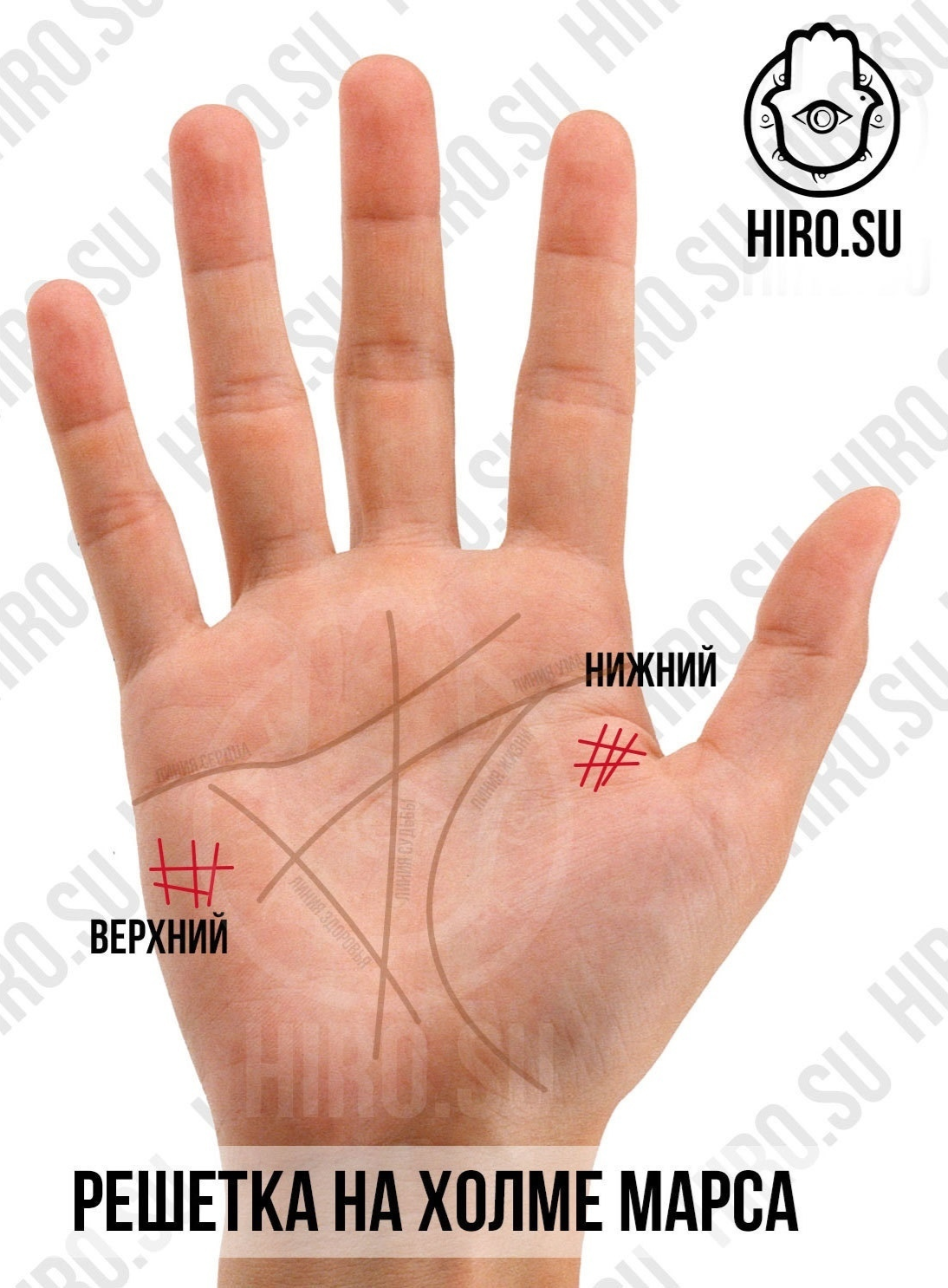 Решетки на холме Марса